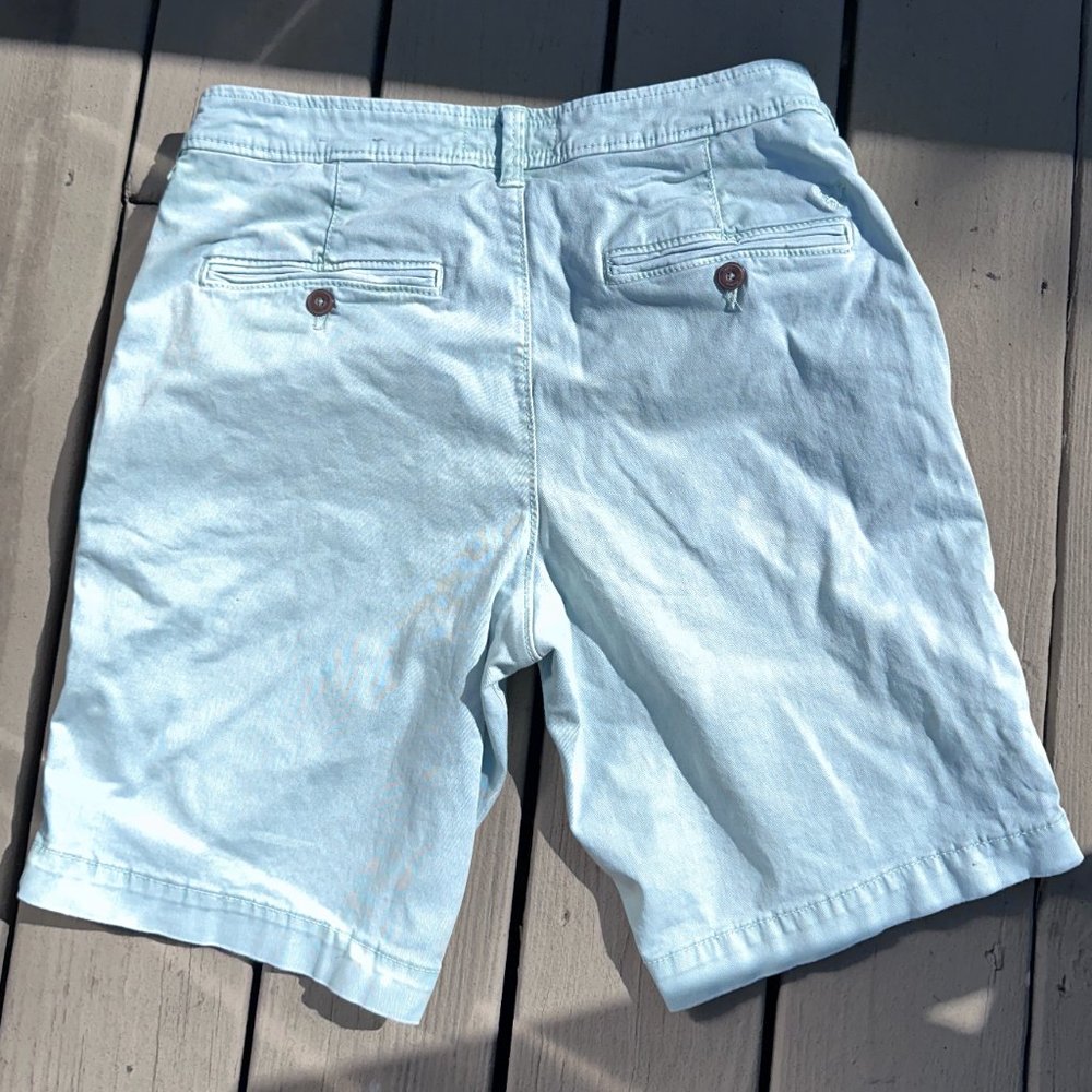 Like New American Eagle Outfitters Very Light Green Extreme Flex Chino 30